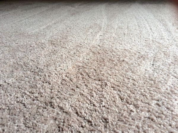 Plush Carpet Installation in Yorktown
